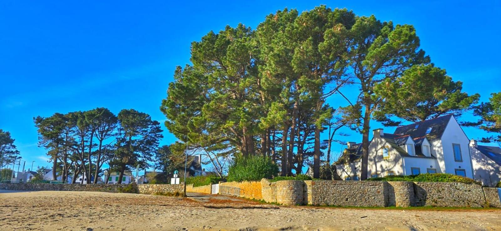 Cocon Neuf - 6 A 8 Pers 3 Chb Proche Plage, Port, Centre Ville 생 피에르 키브롱 외부 사진